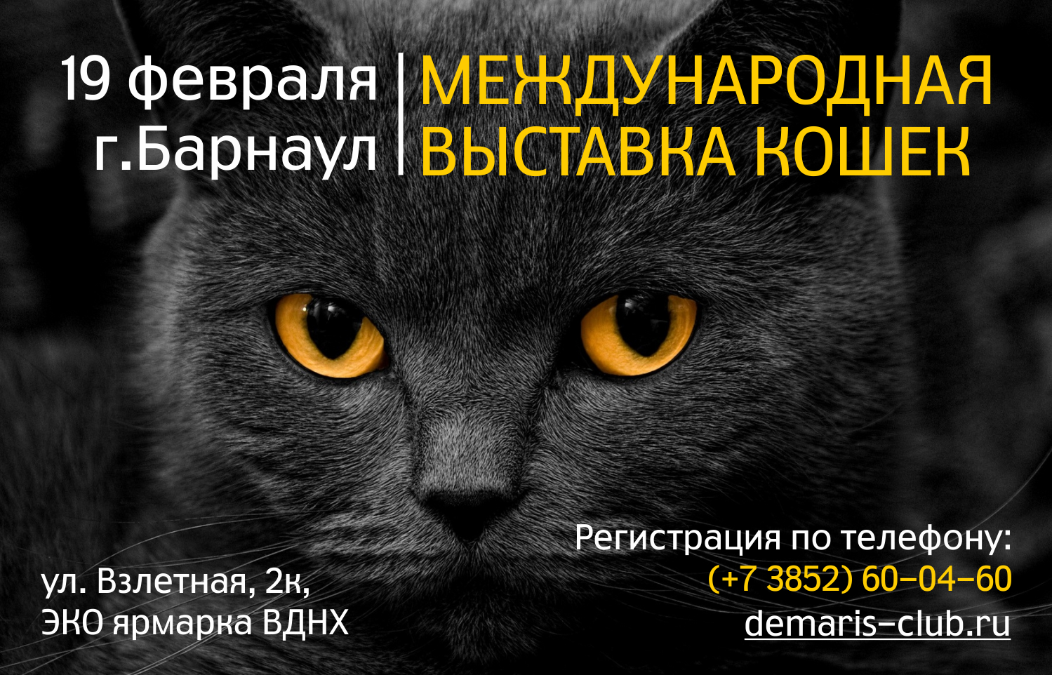 Выставка